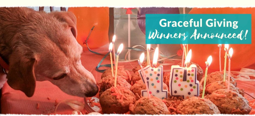 Graceful-giving-Winner Dog Birthday