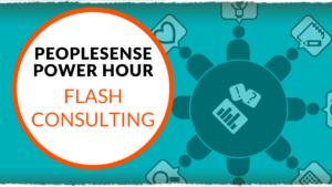 PeopleSense Consulting Flash Consulting