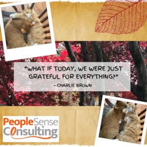 Gratitude PeopleSense Consulting Insta
